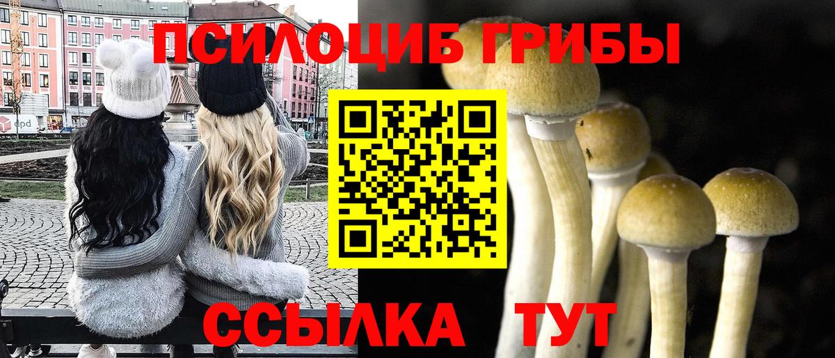 Галлюциногенные грибы Cubensis Набережные Челны